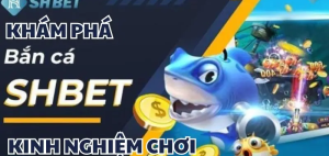 Các Loại Cá Cược Tại Shbet